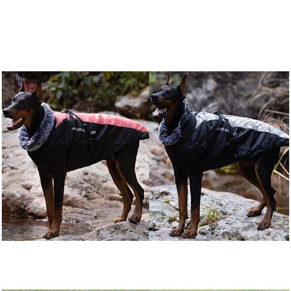 INF Klassisk grå hund vinterkappa
