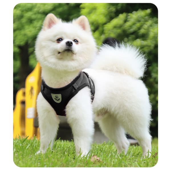 Reflekterende hundesele - åndbar sort