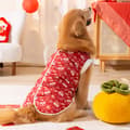 Pikkukuva 7 / 11: INF Lion Dance Koi -koiran liivi