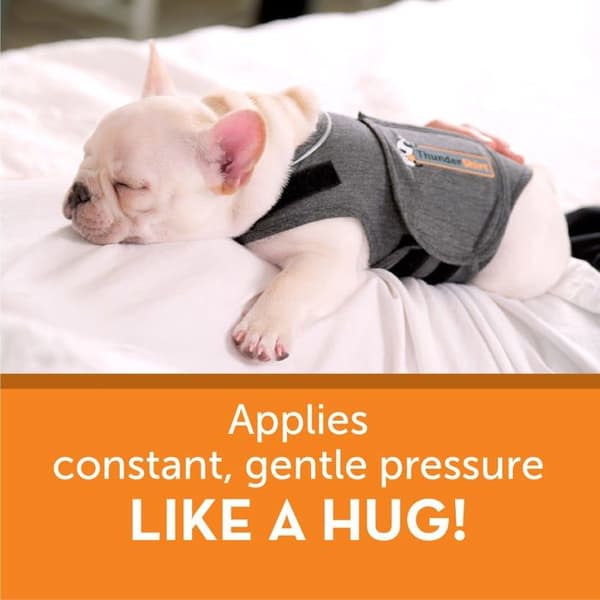 Thundershirt Coat - Jacka - HGXS-T01 - Anxiety Dog Coat