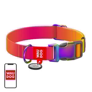 Waudog gradient hundhalsband i nylon med QR-kod, orange, storlek L