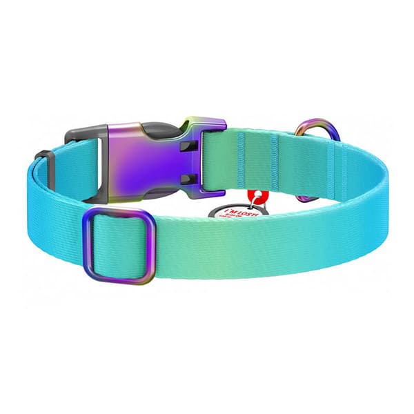 Waudog gradient hundhalsband i nylon med QR-kod, blå, storlek M