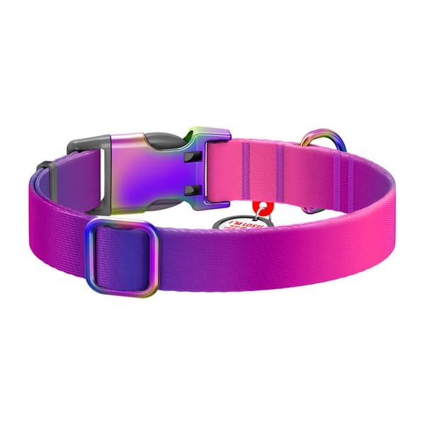 Waudog gradient hundhalsband i nylon med QR-kod, lila, storlek XL