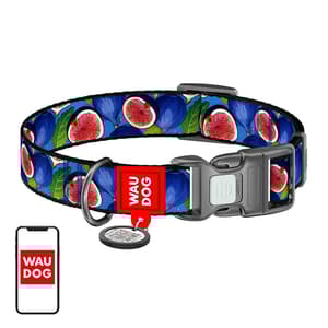 Waudog "Fig" nylon hundehalsbånd med QR-kode, størrelse XL