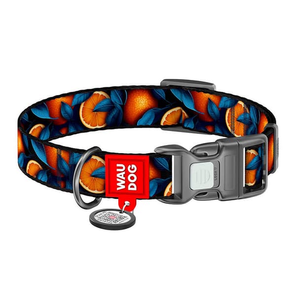 Waudog "Oranges" nylon hundehalsbånd med QR-kode, størrelse XL