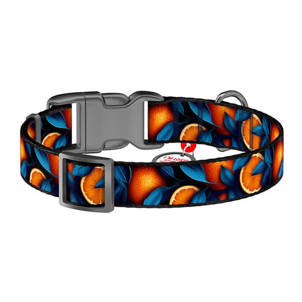 Waudog "Oranges" nylon hundehalsbånd med QR-kode, størrelse XL