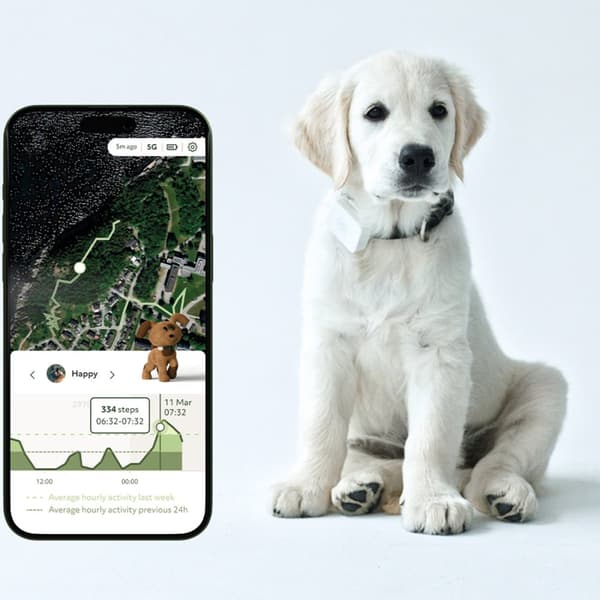 Lildog 2 GPS-Tracker för Hundar
