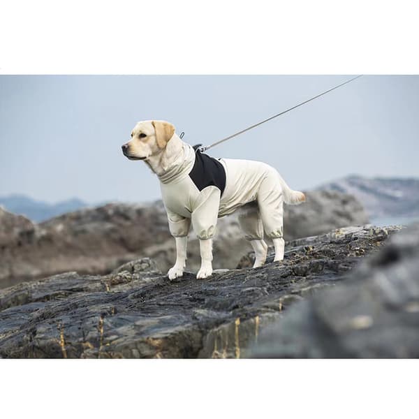 INF Vattentät Hundjacka - Skyddande Hundkläder i Beige 8XL