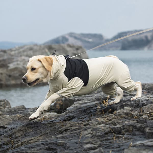 INF Vattentät Hundjacka - Skyddande Hundkläder i Beige 8XL