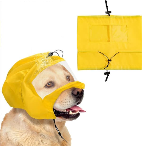 INF Vanntett hundebadevisirhatt for hørselvern