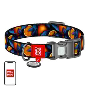 Waudog "Oranges" hundhalsband i nylon med QR-kod, storlek S