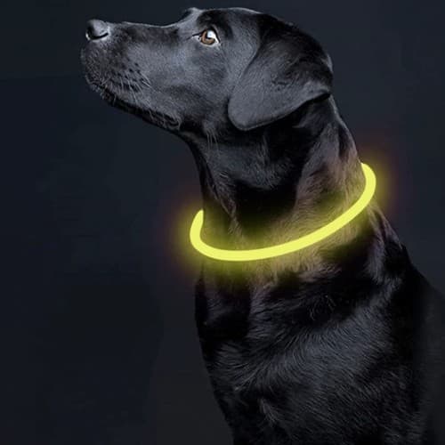 LED Hund / Katt Halsband - Uppladdningsbar