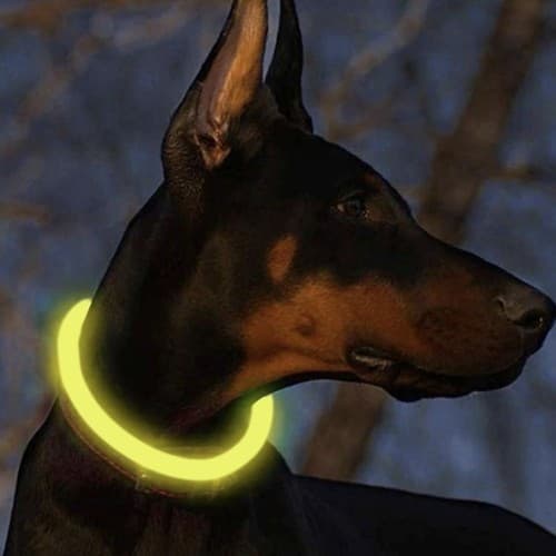 LED Hund / Katt Halsband - Uppladdningsbar