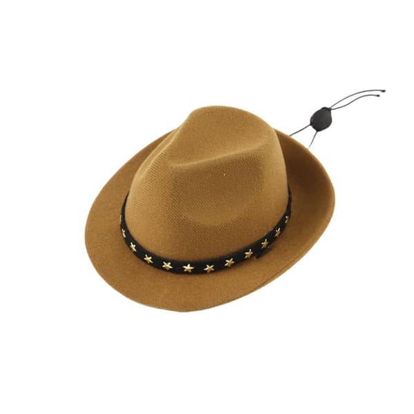 INF Femtakket stjerne cowboyhat til kæledyrsfløjl