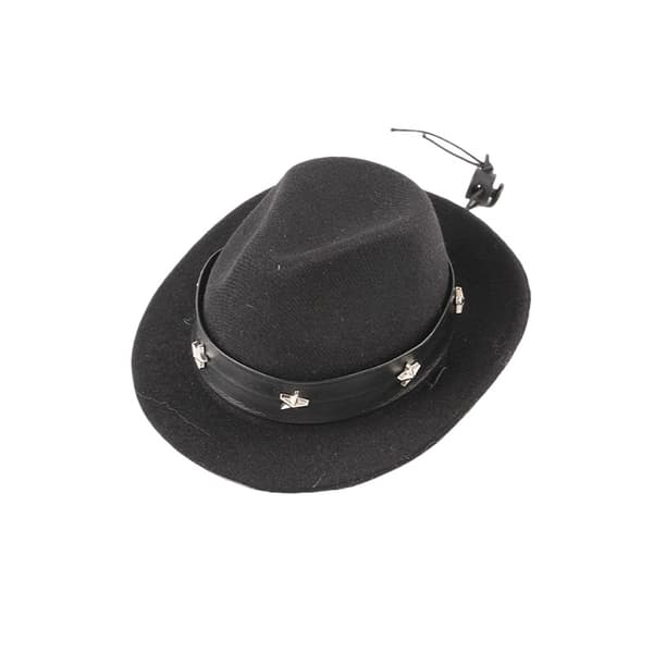 INF Femtakket stjerne cowboyhat & bælte til kæledyr