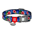 Miniatyrbilde 3 av 5: Waudog "Fig" hundehalsbånd i nylon med QR-kode, størrelse S