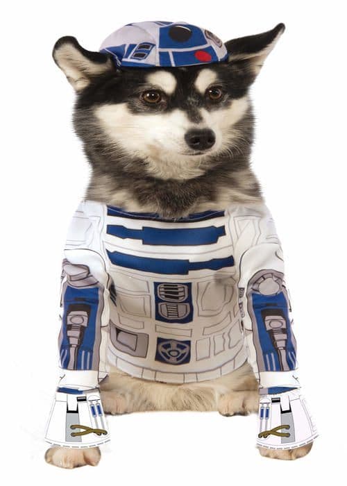 Kostym - Rubies peruk - 888249-S - Rubie's Spain Star Wars R2-D2 Kostym för djur M Vit