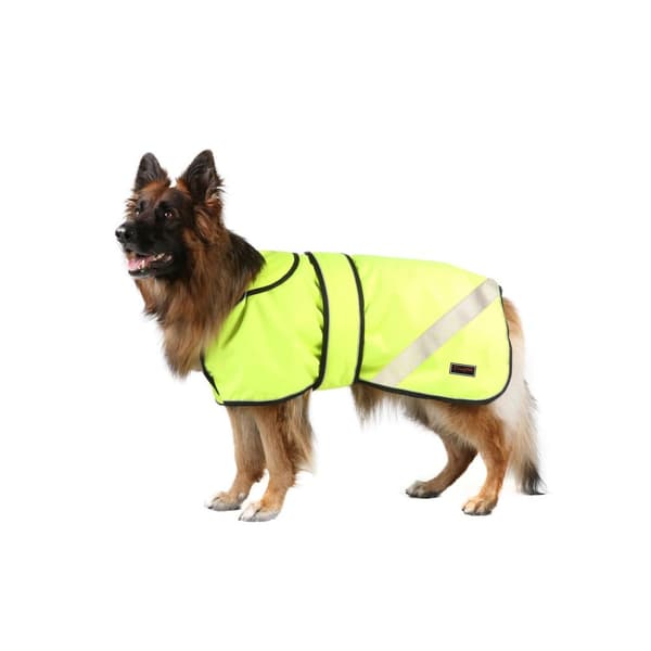 Firefoot 2 in 1 Waterproof Reflective Dog Coat