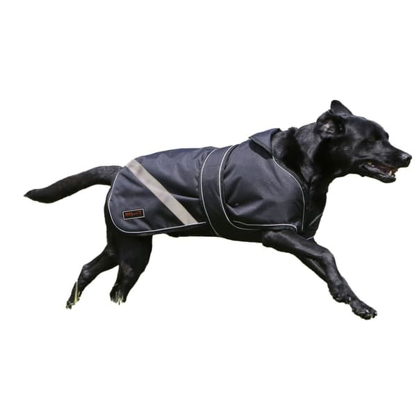 Firefoot 2 in 1 Waterproof Reflective Dog Coat