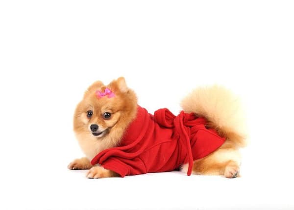 Kappa - Doggydolly jacka - W311 - Doggy Dolly Fleece Coat för hundar Röd storlek XXS