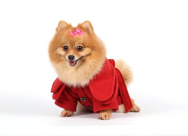 Kappa - Doggydolly jacka - W311 - Doggy Dolly Fleece Coat för hundar Röd storlek XXS