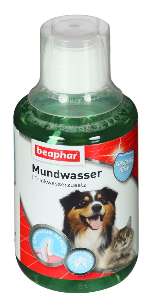 Beaphar Oral & Hammashoito koirille ja kissoille 250 ml