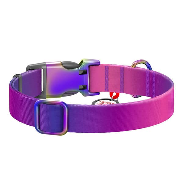 Hundhalsband i nylon med QR-kod WAUDOG 15 mm bred, 25-35 cm lång lila