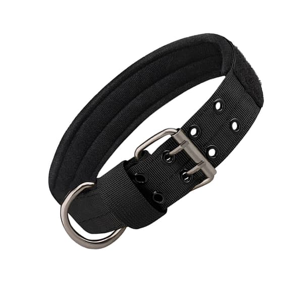 INF Taktiskt Hundhalsband - Nylon & Metallspänne