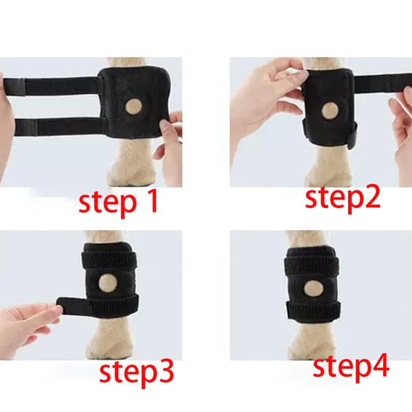 INF Hunde Knebeskytter Støtte For Hundeben  S