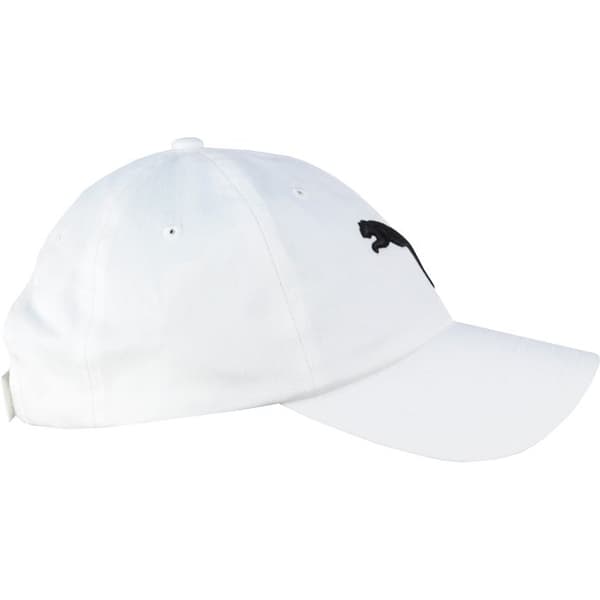 ESS Cap 052919-02