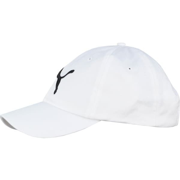 ESS Cap 052919-02