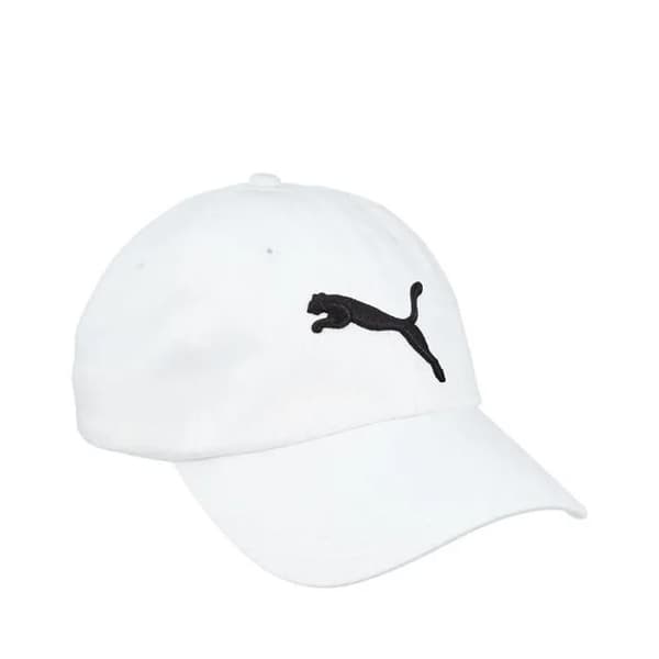 ESS Cap 052919-02