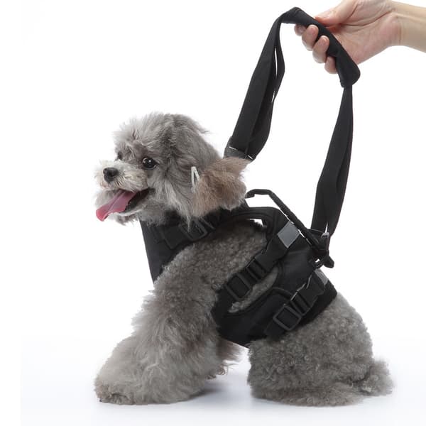 INF Multifunktionel hundesele med håndtag