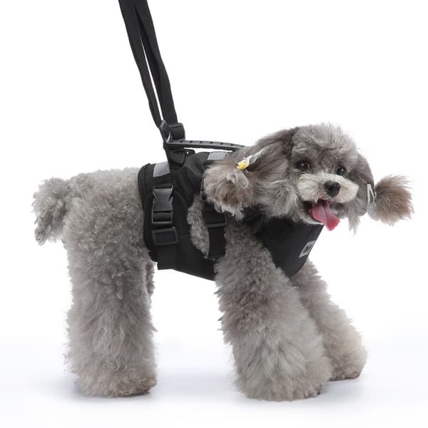 INF Multifunktionel hundesele med håndtag