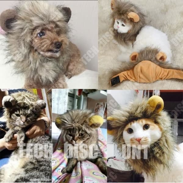 TD® Peruk Hund Husdjur Katt Man Häst Hår Lejon Rolig Brun Färg Söt liten utflykt massiv päls