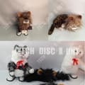 Miniatyrbild 4 av 4: TD® Peruk Hund Husdjur Katt Man Häst Hår Lejon Rolig Brun Färg Söt liten utflykt massiv päls
