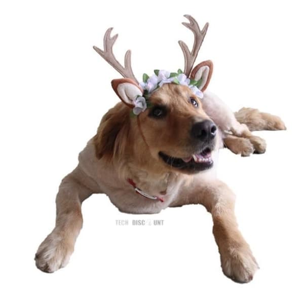 TD® Deer Pannband för Hund Katt Dräkt för öron Söt Juldräkt Liten storlek Kvinna Hane Husdjur