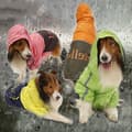 Miniatyrbild 4 av 4: TD® Vattentät Vinterkappa Hund Husdjur Varm Vattentät Fleece Vadderad Quiltad Reflex Vindtät