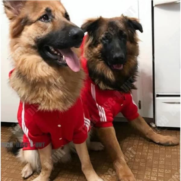 TD® kläder sport hund huva stor storlek sommar hantröja medium kvinna röd luvtröja kappa medium kappa kostym jacka kostym
