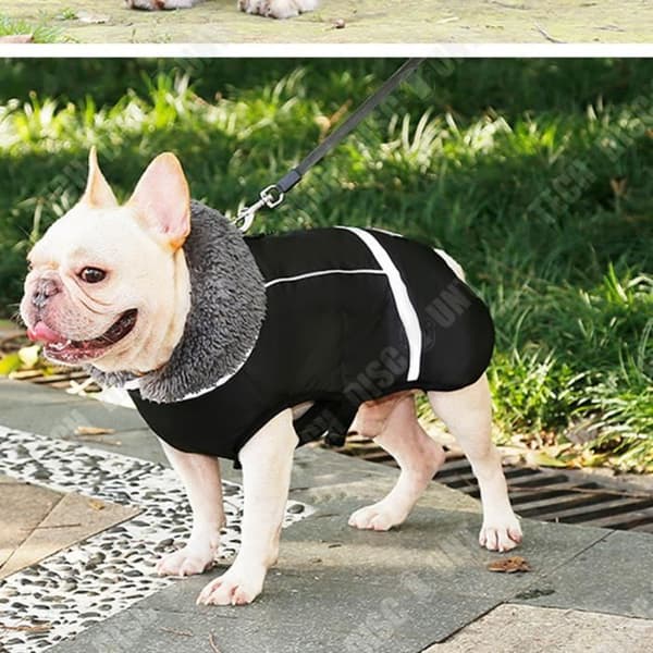 TD® Pet Höst och vinter Förtjockad jacka Stora hundkläder Reflekterande varma toppkläder Hundspänne