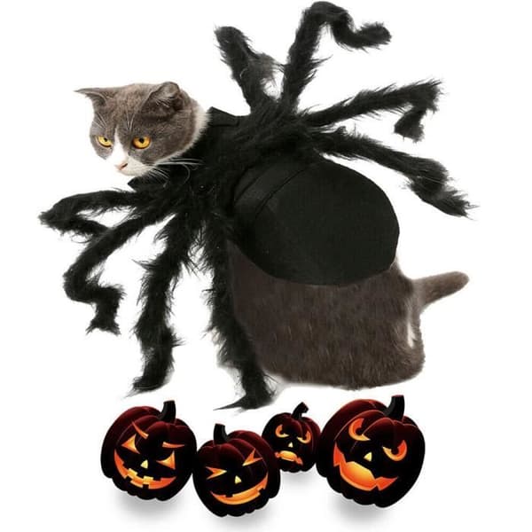 Qiilu Pet Spider Kostym Halloween Kläder Hund Katt Skrämmande Simulering Spider Plysch Klänning