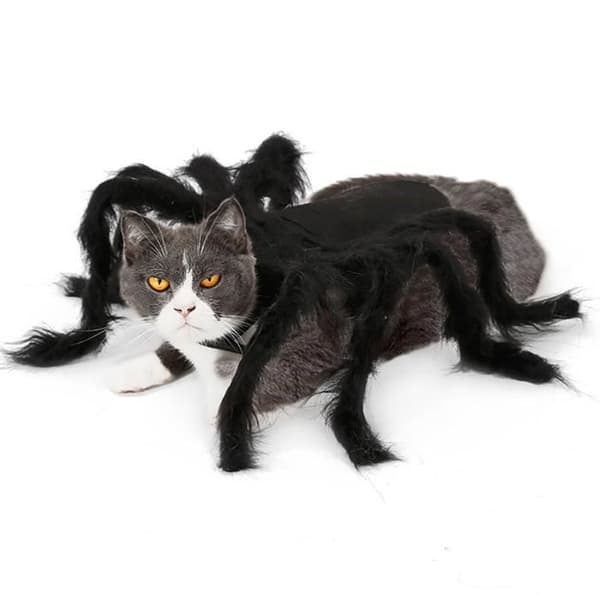 Qiilu Pet Spider Kostym Halloween Kläder Hund Katt Skrämmande Simulering Spider Plysch Klänning