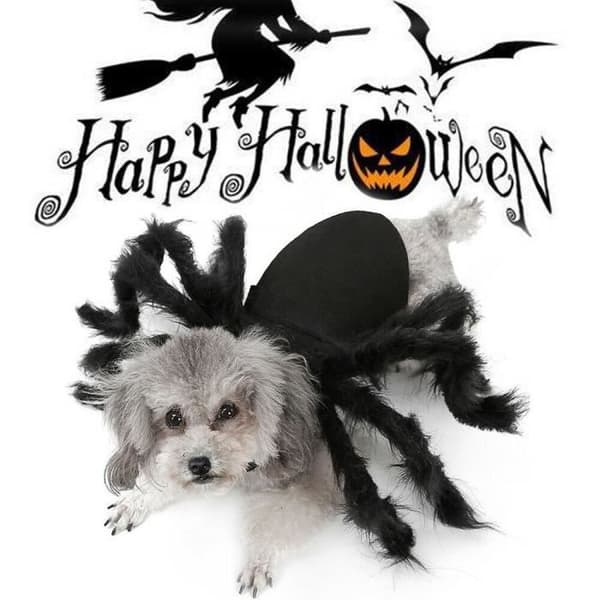 Qiilu Pet Spider Kostym Halloween Kläder Hund Katt Skrämmande Simulering Spider Plysch Klänning