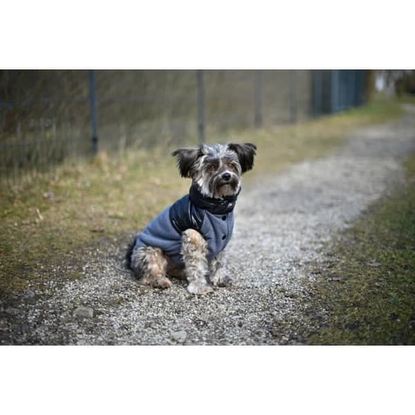 Kerbl Quebec hundkappa - svart/grå - XL