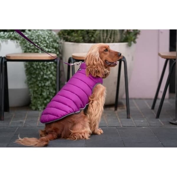 Vändbar dunjacka - Red Dingo - 25 cm - Vattentät - Rosa och lila - Neopren och fleece