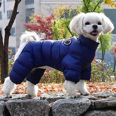 PUPPIA Ultralätt vinterdräkt marinblå Välj storlek: XL