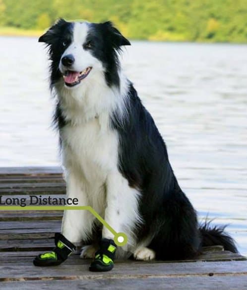 Long Distance TrueLove Hunde Vandresko Lime 2 stk. Vælg størrelse: 7