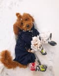 Miniatyrbild 5 av 11: Long Distance TrueLove Hundvandringsskor Lime 2 st Välj storlek: 8