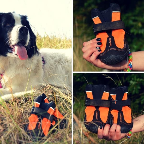 Long Distance TrueLove Hunde Vandresko Orange 2 stk. Vælg størrelse: 7