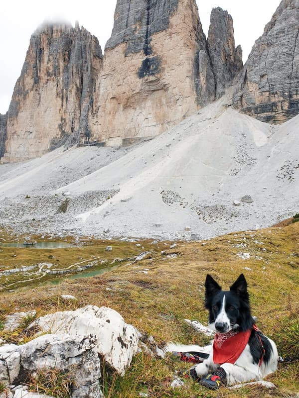 Travel Truelove vandresko til hunde 4 stk. røde Vælg størrelse: 2